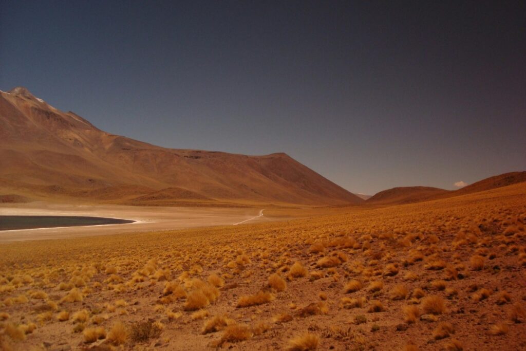 Esta imagen muestra un paisaje desértico en Chile, con extensas laderas cubiertas de hierba seca y una montaña imponente al fondo. Una laguna reluce en la distancia, contrastando con el terreno marrón. Esta vista natural puede ser una fuente de inspiración para aquellos que buscan crear contenido en YouTube en Chile. Aprendiendo los trucos de "YouTube en Chile Cómo Crecer y Monetizar Tu Canal", los creadores pueden aprovechar la belleza de paisajes como este para atraer a más espectadores y alcanzar el éxito en su canal.