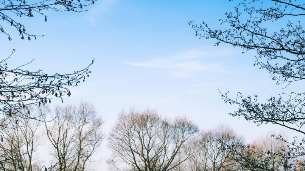 Top 10 Snapchat Influencers Que Debes Conocer en Netherlands