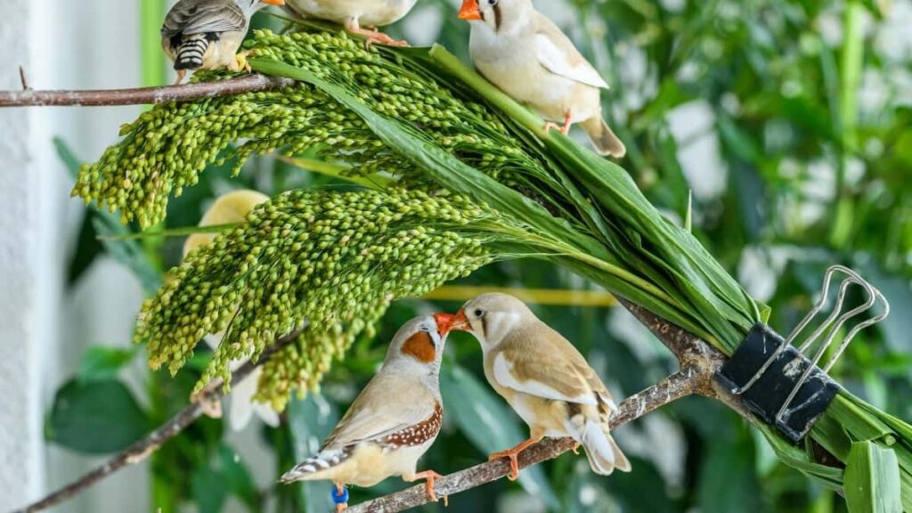Top 10 Twitter Influencers para colaborar en Vietnam desde Chile