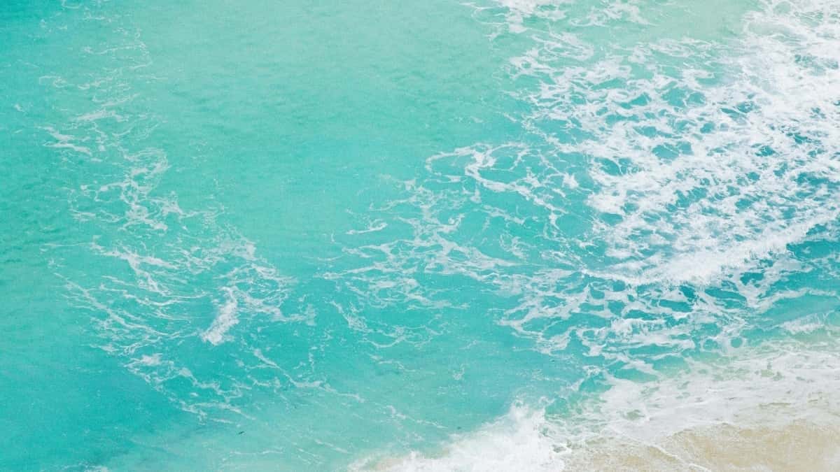 Creadores en Chile: Cómo pedir un trato co-brandeado con LinkedIn y ganar terreno