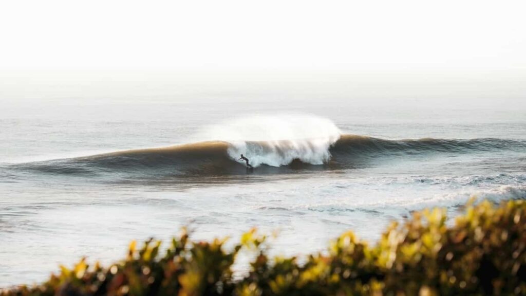 Guia practica para creadores chilenos: detectar, contactar y cerrar acuerdos a largo plazo con marcas de Oman en eBay.