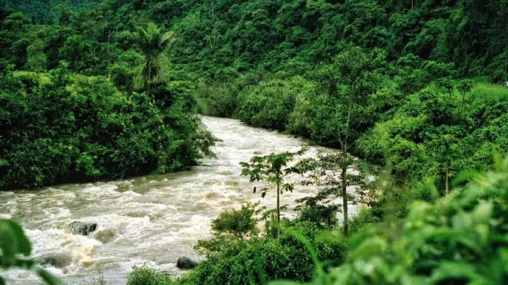 Guia practica para creadores en Chile: como acercarte a marcas de Emiratos Arabes Unidos via Line y conseguir colaboraciones de styling con sus productos.