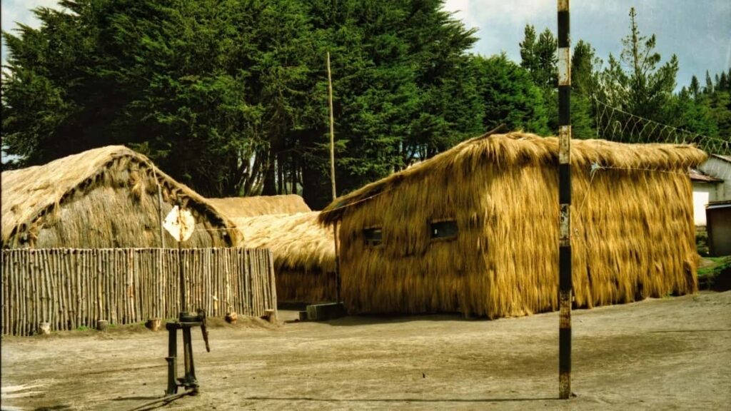 Guia practica para encontrar creadores en Discord (Sudafrica) y usar su contenido para impulsar productled growth desde Chile.