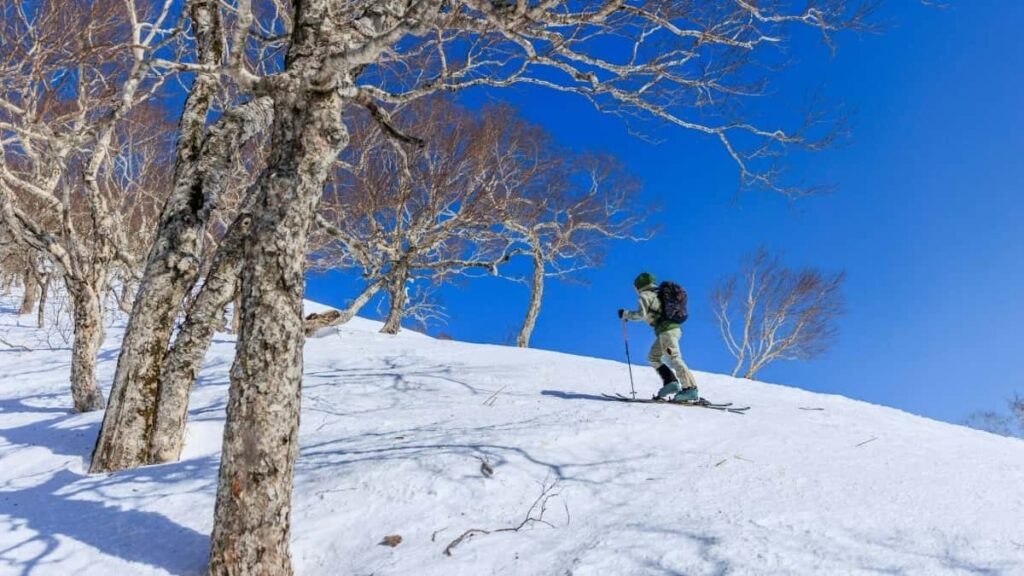 Guia practica para creadores chilenos: como localizar, contactar y convencer a marcas bulgaras en Rumble para probar y resenar nuevas funciones de juegos.