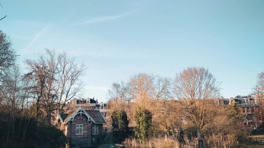 Guia practica para anunciantes chilenos: como encontrar streamers de Sudafrica en Twitch y convertir audiencias activas en leads medibles.