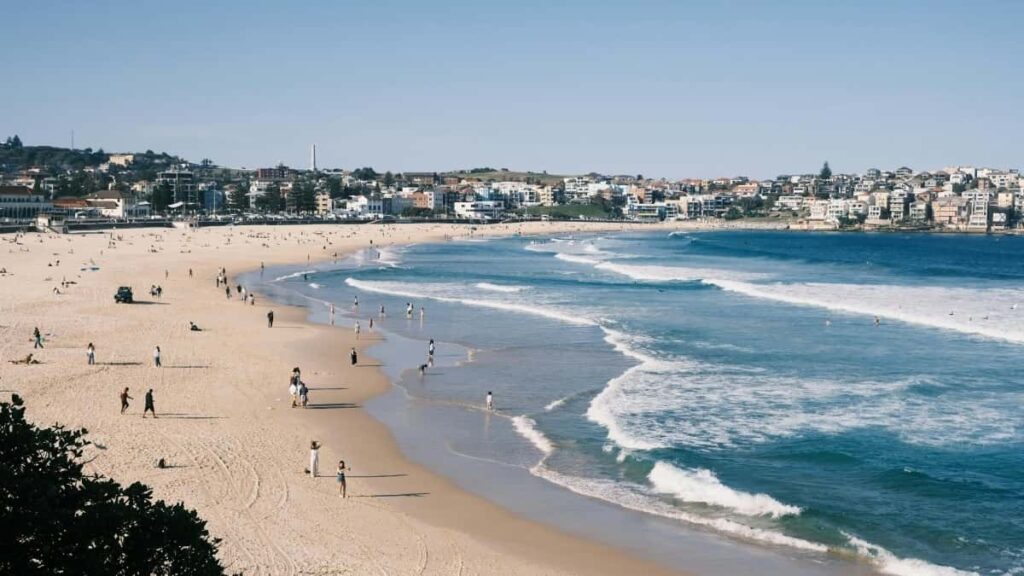 Guia practica para creadores chilenos: como identificar, contactar y negociar con marcas belgas en Moj para difundir habitos saludables entre tus seguidores.