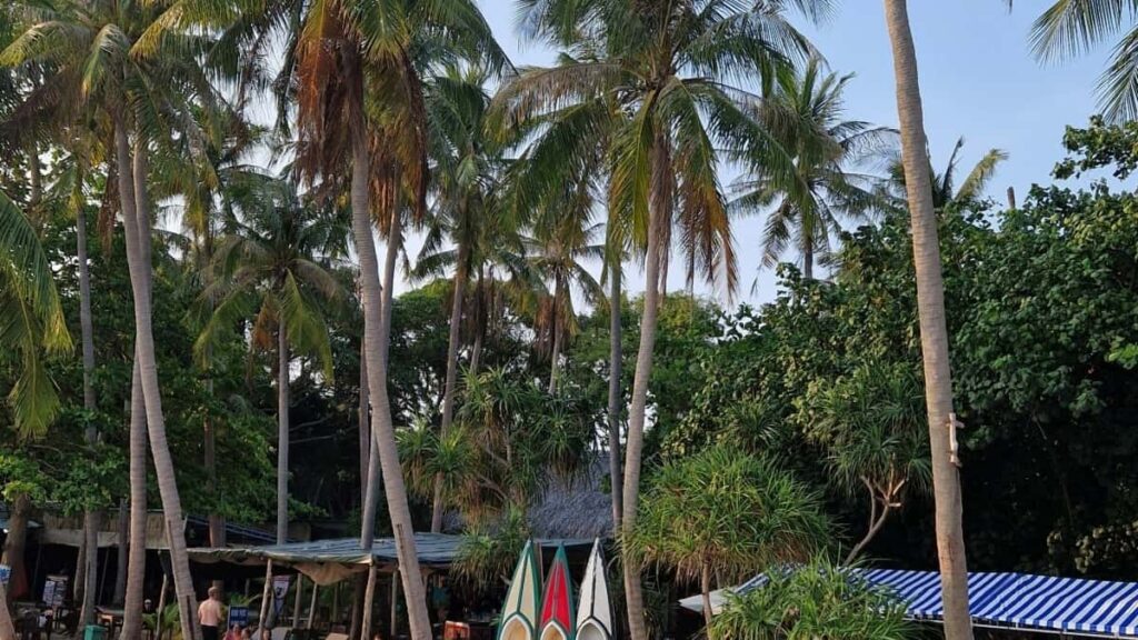 Guia practica para creadores en Chile sobre como encontrar y negociar con marcas de Lituania en Shopee, conseguir acuerdos a largo plazo y usar programas de afiliados y redes para escalar.