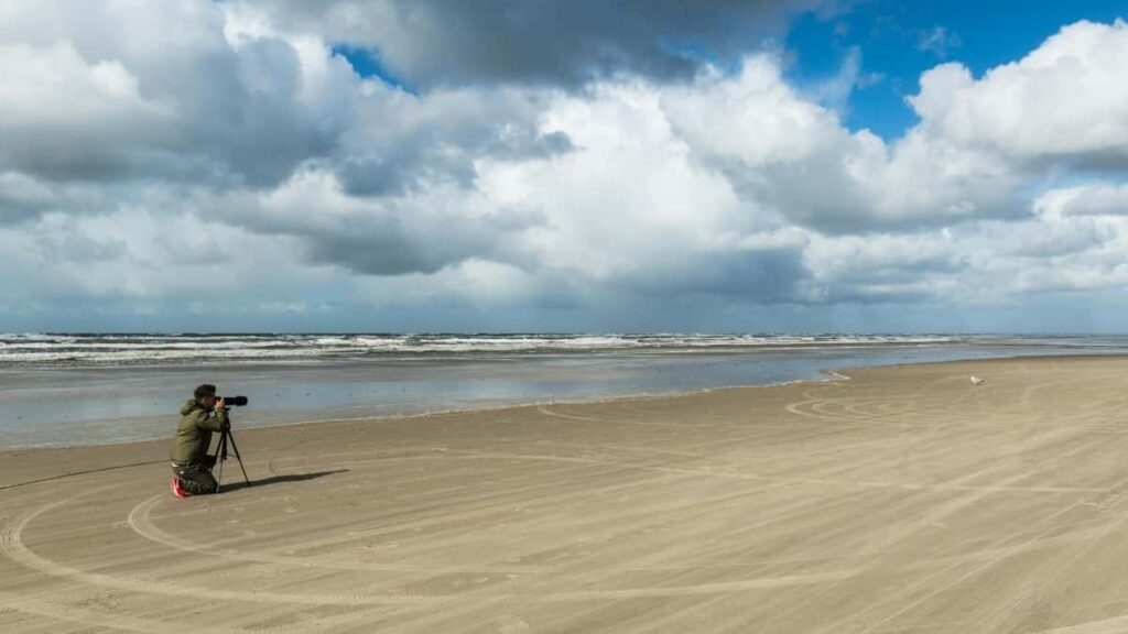 Guia practica para anunciantes en Chile que buscan creadores croatas ligados al universo Netflix para product seeding: donde buscarlos, como contactarlos y que ofertas funcionan mejor.