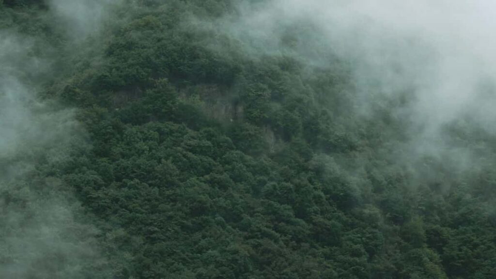 Guia practica para anunciantes en Chile que quieren conectar con creadores de Chingari en Estonia y activar awareness en comunidades gamer.