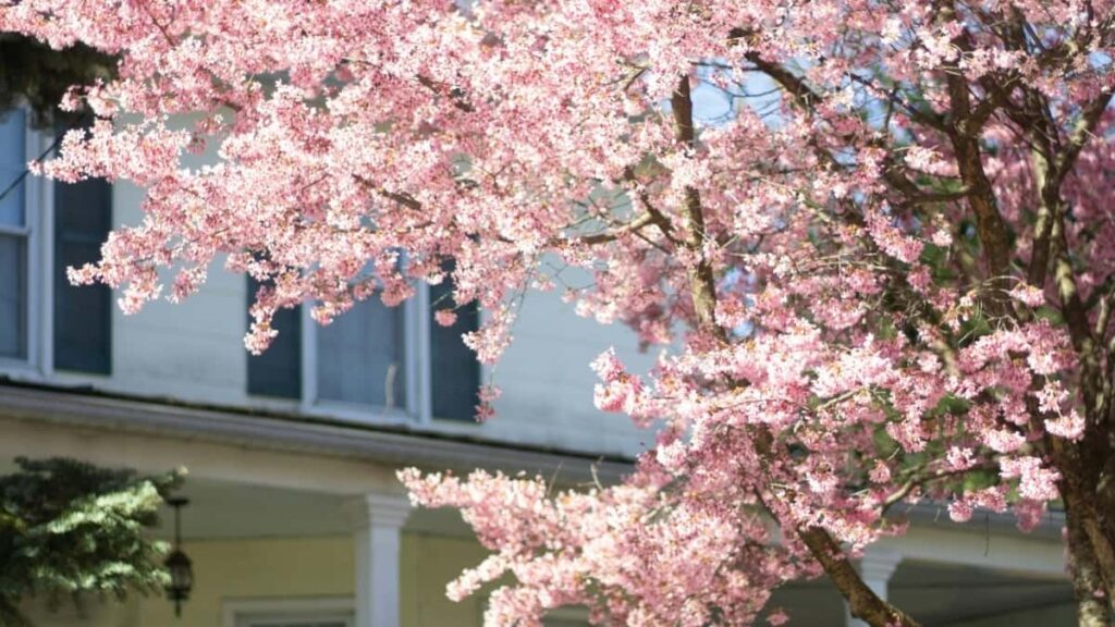 Estrategia practica para creators chilenos que buscan contactar marcas iraquies en Netflix y organizar demos en vivo, combinando OOH, redes y tacticas de acercamiento directo.