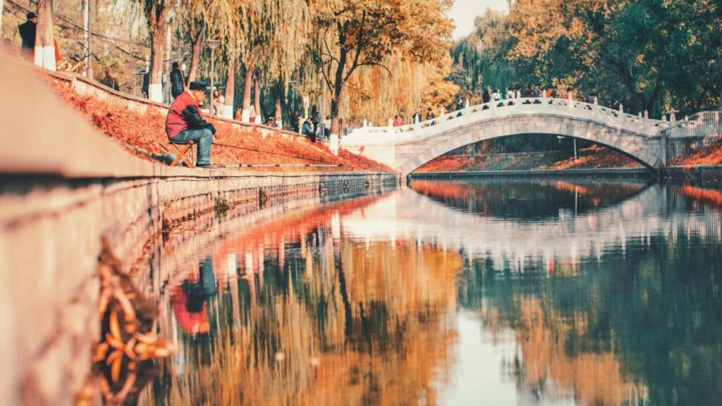 Guia practica para creadores en Chile: como localizar y convencer a marcas panamenas para compartir codigos de descuento temporales via Zalo, con plantillas, riesgos y checklist operativo.