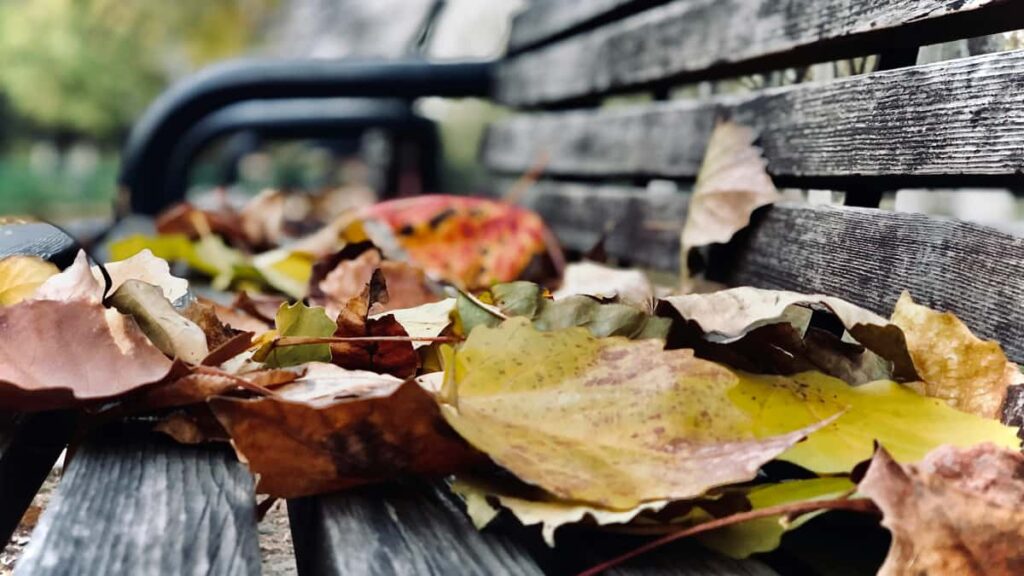 Guia practica para creadores en Chile que quieren contactar marcas de Letonia en Snapchat y proponer videos GRWM autenticos y escalables.