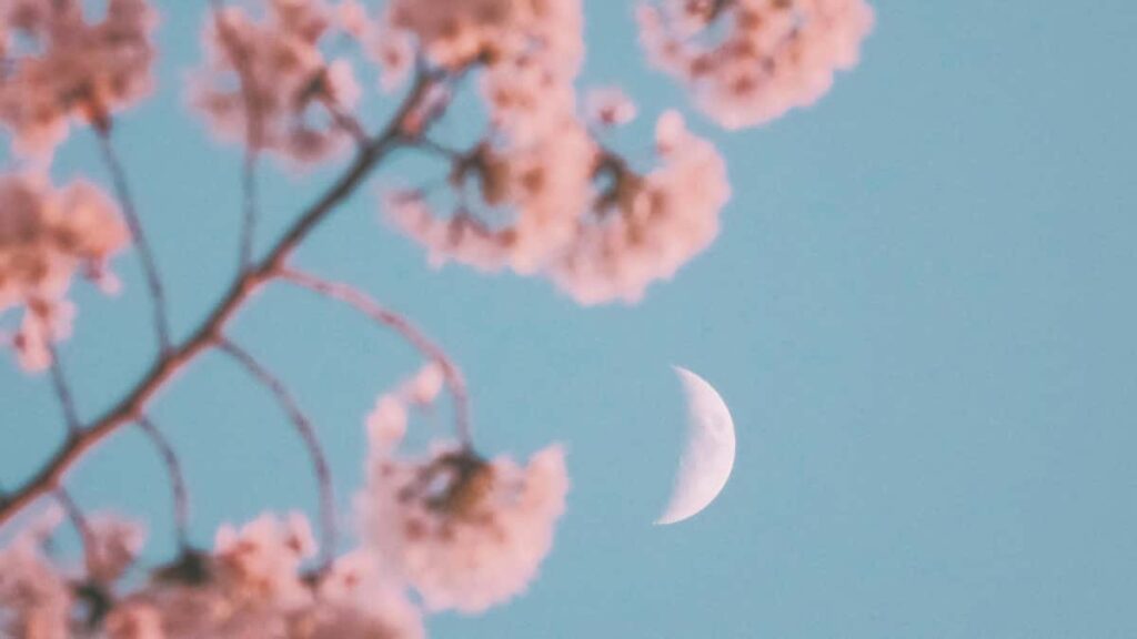 Estrategias practicas para encontrar y colaborar con creators colombianos en Viber y lanzar lineas de producto con creators top.