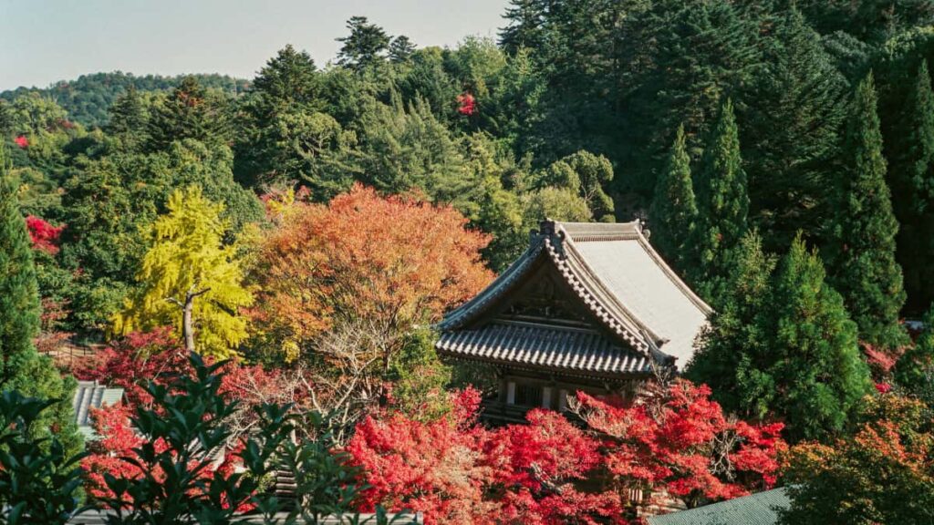 Guia practica para creadores en Chile: como localizar, pitchar y cerrar colaboraciones wellness con marcas austriacas que anuncian en Hulu, con tacticas legales, ejemplos y recursos.