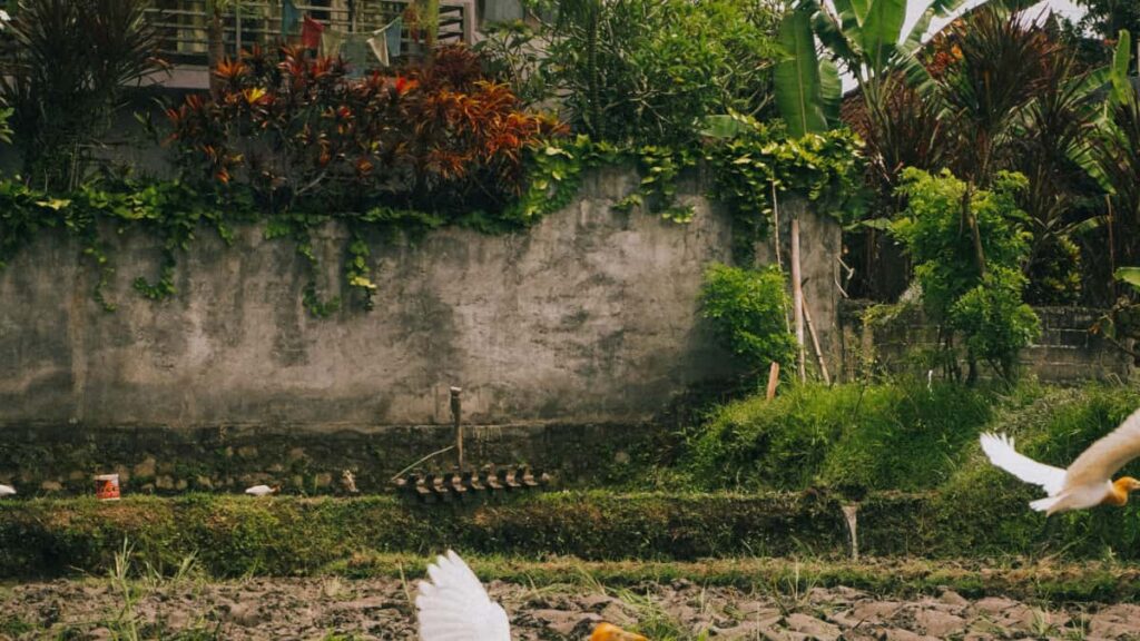 Guia practica para creadores en Chile: pasos, mensajes, pitch y estrategias locales para ofrecer unboxing en Moj y cerrar colaboraciones con marcas.