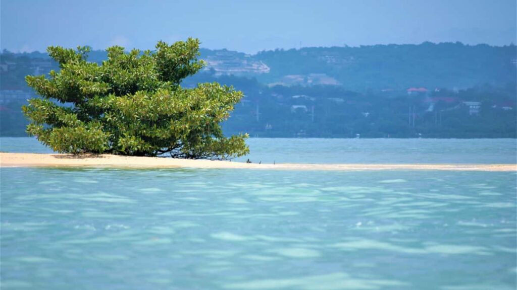 Guia practica para creadores chilenos: como identificar, contactar y cerrar resenas de hoteles con marcas rumanas en Shopee usando tacticas de outreach, ejemplos y riesgos legales.