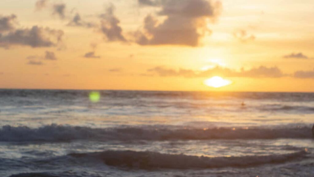 Guia practica para marcas en Chile que quieren identificar creadores en Josh y ejecutar product seeding con beauty bloggers: canales, criterios, outreach y metricas.