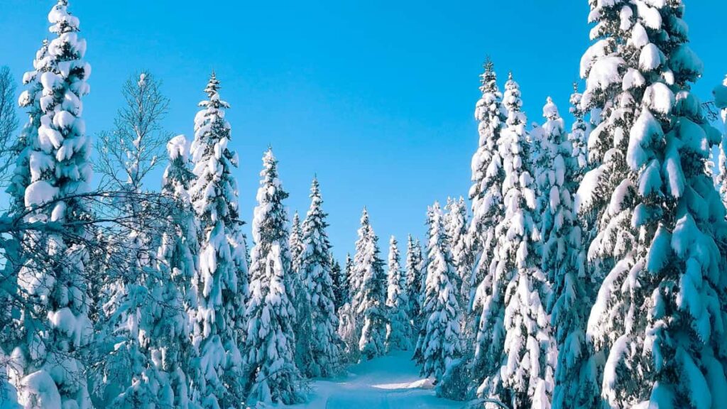 Estrategia practica para creators chilenos que buscan conectar con marcas de Bahrein en LinkedIn y generar conversiones potentes con CTAs claros y adaptados al mercado del Golfo.