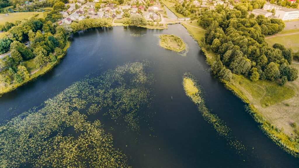 Guia practica para creadores chilenos que quieren acercarse a marcas del Reino Unido en Twitter y convertir esa atencion en inscripciones a cursos online.