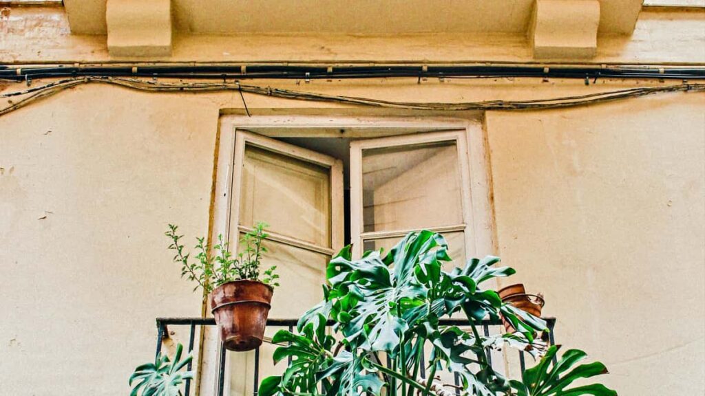 Guia practica para marcas en Chile que quieren colaborar con creadores hungaros en Reddit y amplificar campanas de estilo con influencers de video corto.