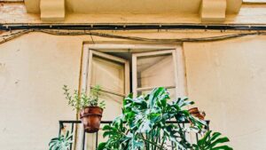 Guia practica para marcas en Chile que quieren colaborar con creadores hungaros en Reddit y amplificar campanas de estilo con influencers de video corto.