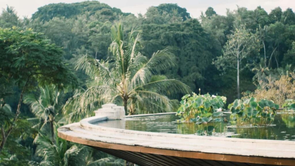 Guia practica para creadores en Chile: pasos, plantillas y riesgos al contactar marcas indias por WhatsApp para pedir muestras gratis, con datos y contexto 2026.