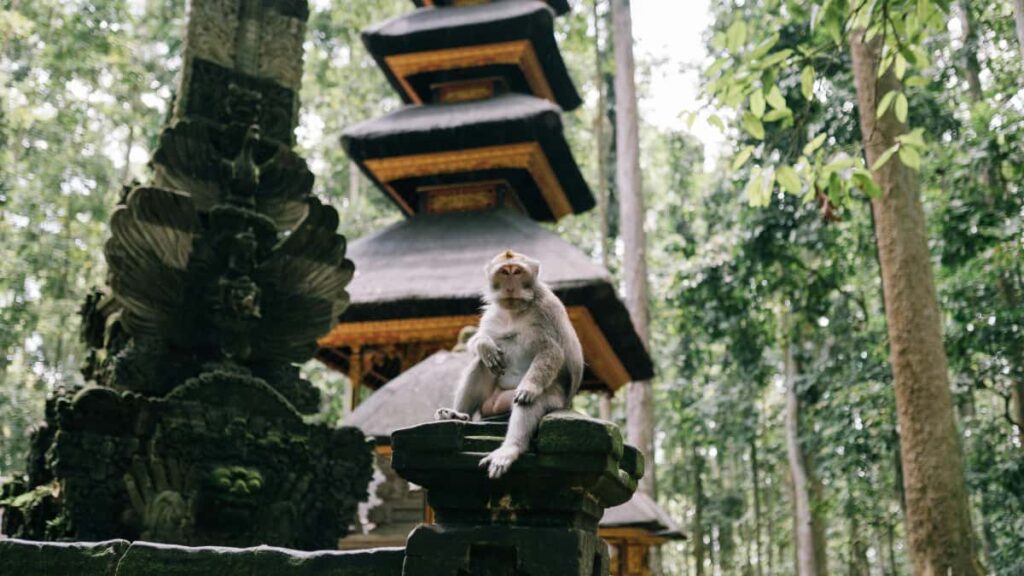 Guia practica para creativos en Chile: como identificar, conectar y cerrar colaboraciones con marcas de Iraq en SoundCloud para crear guias de productividad relevantes.