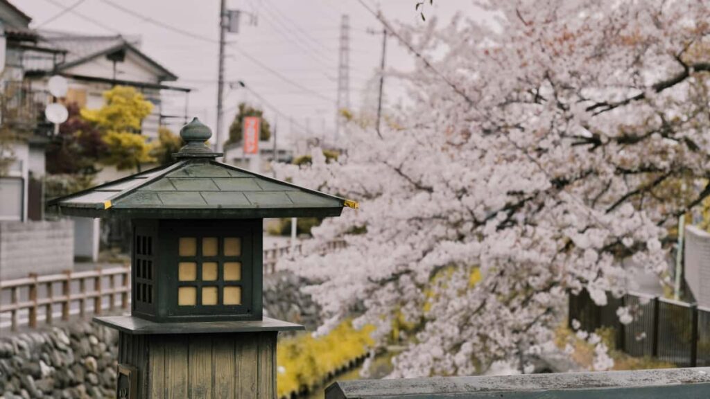 Guia practica para creadores chilenos: como encontrar, pitchar y co-crear bundles exclusivos con marcas de Austria via Twitter.