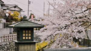 Guia practica para creadores chilenos: como encontrar, pitchar y co-crear bundles exclusivos con marcas de Austria via Twitter.