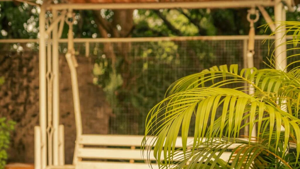 Guia practica para marcas chilenas que buscan creadores en Portugal en Xiaohongshu (RedNote). Pasos, tacticas, ejemplos y riesgos para impulsar engagement desde mercados lusofonos.