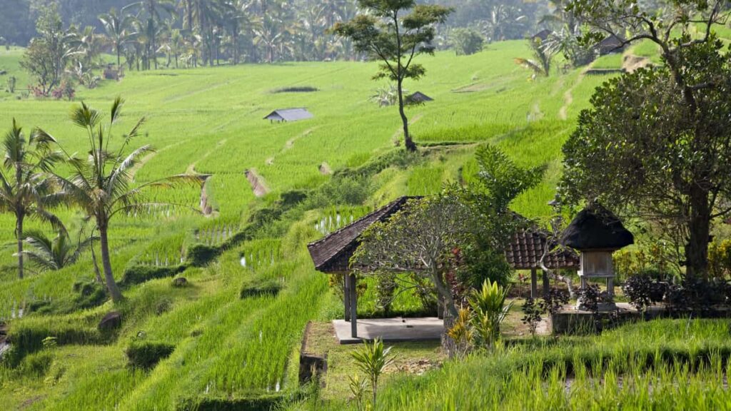 Guia practica para anunciantes chilenos que buscan YouTubers en Emiratos Arabes Unidos para campanas de wellness: canales, tacticas de busqueda, metricas clave y pasos operativos.