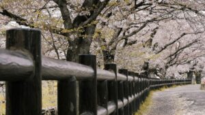 Guia practica para creadores chilenos: como usar KakaoTalk para llegar a marcas bolivianas, ganar confianza y cerrar patrocinios con tacticas concretas y ejemplos.