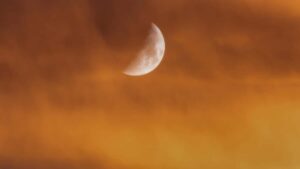 Guia practica para anunciantes en Chile: donde buscar Turkey Josh creators, como evaluarlos y convertir su alcance en interaccion real y reservas.